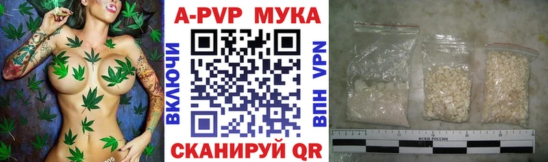 Alpha PVP СК  Североморск 