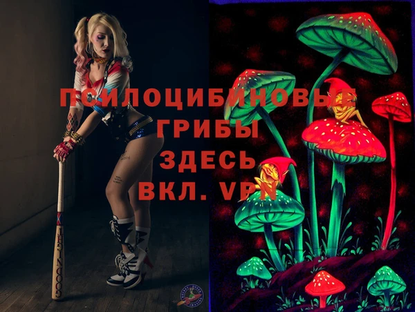 твердый Абаза