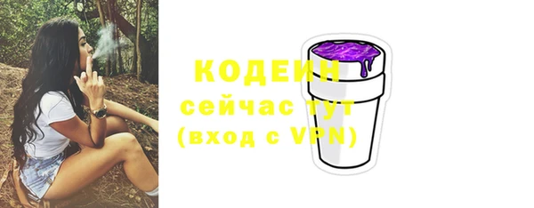 твердый Абаза