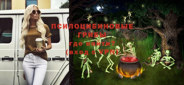 твердый Абаза
