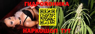 ПСИЛОЦИБИНОВЫЕ ГРИБЫ Татарск