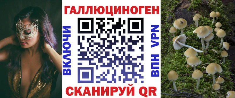 blacksprut зеркало  Североморск  Галлюциногенные грибы Magic Shrooms 