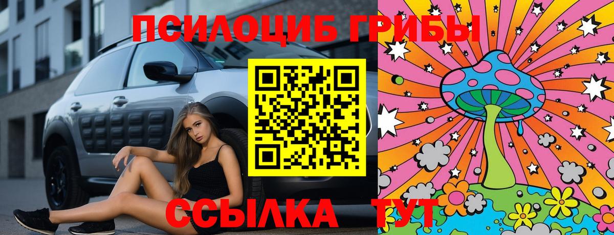 Псилоцибиновые грибы мицелий Североморск