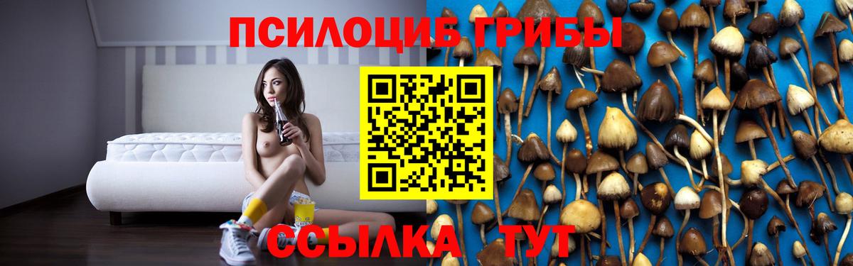 Псилоцибиновые грибы мухоморы  Вход с VPN  Североморск 
